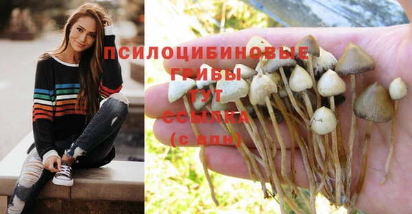 спайс Наволоки